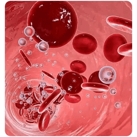 🔥Big Sale - 50% OFF🔥 Non-Invasive Blood Glucose Meter